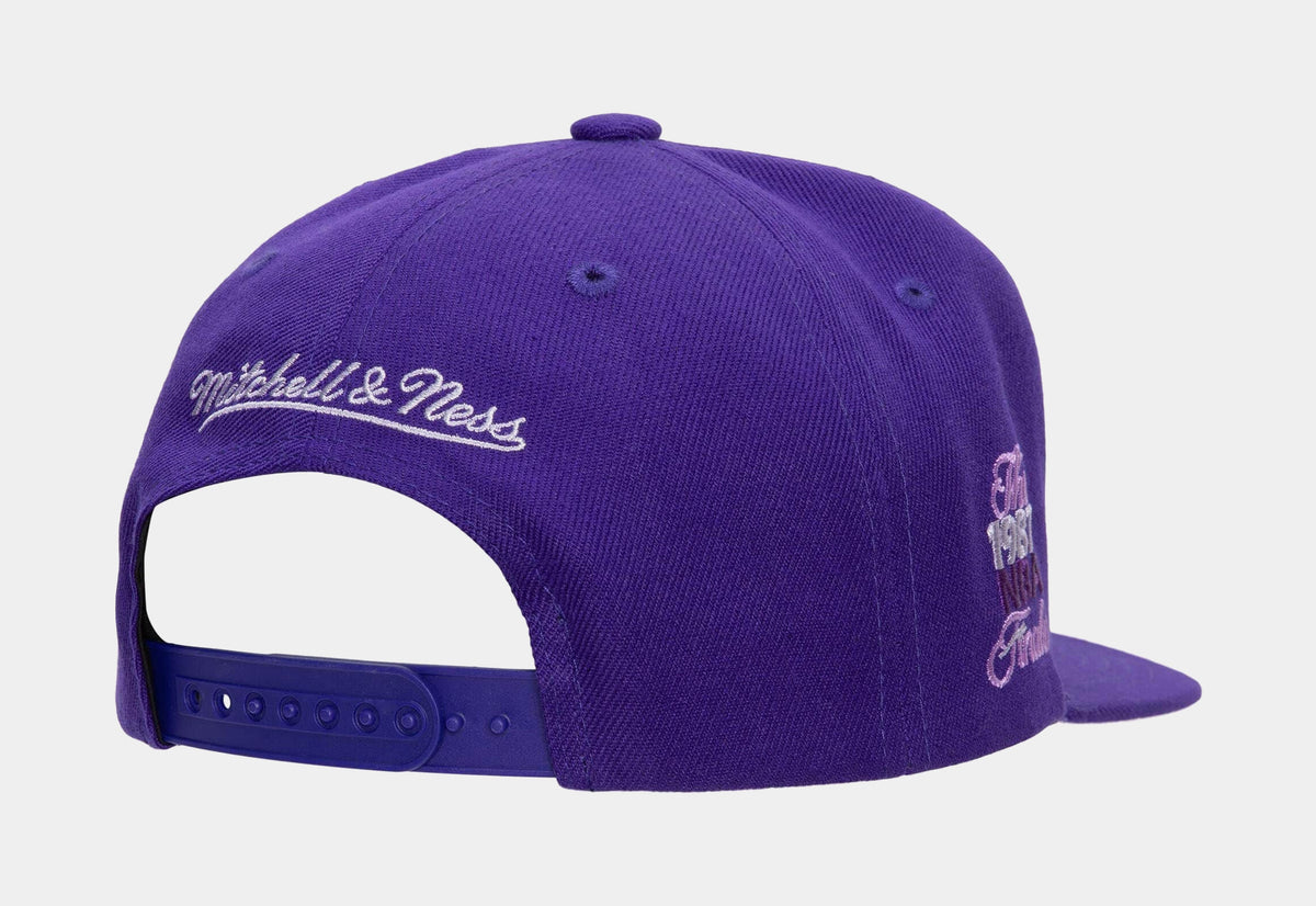 Mitchell & Ness Los Angeles Lakers Championship Snapback Mens Hat Black  HHSS4196-LALYYPPPBKGD – Shoe Palace