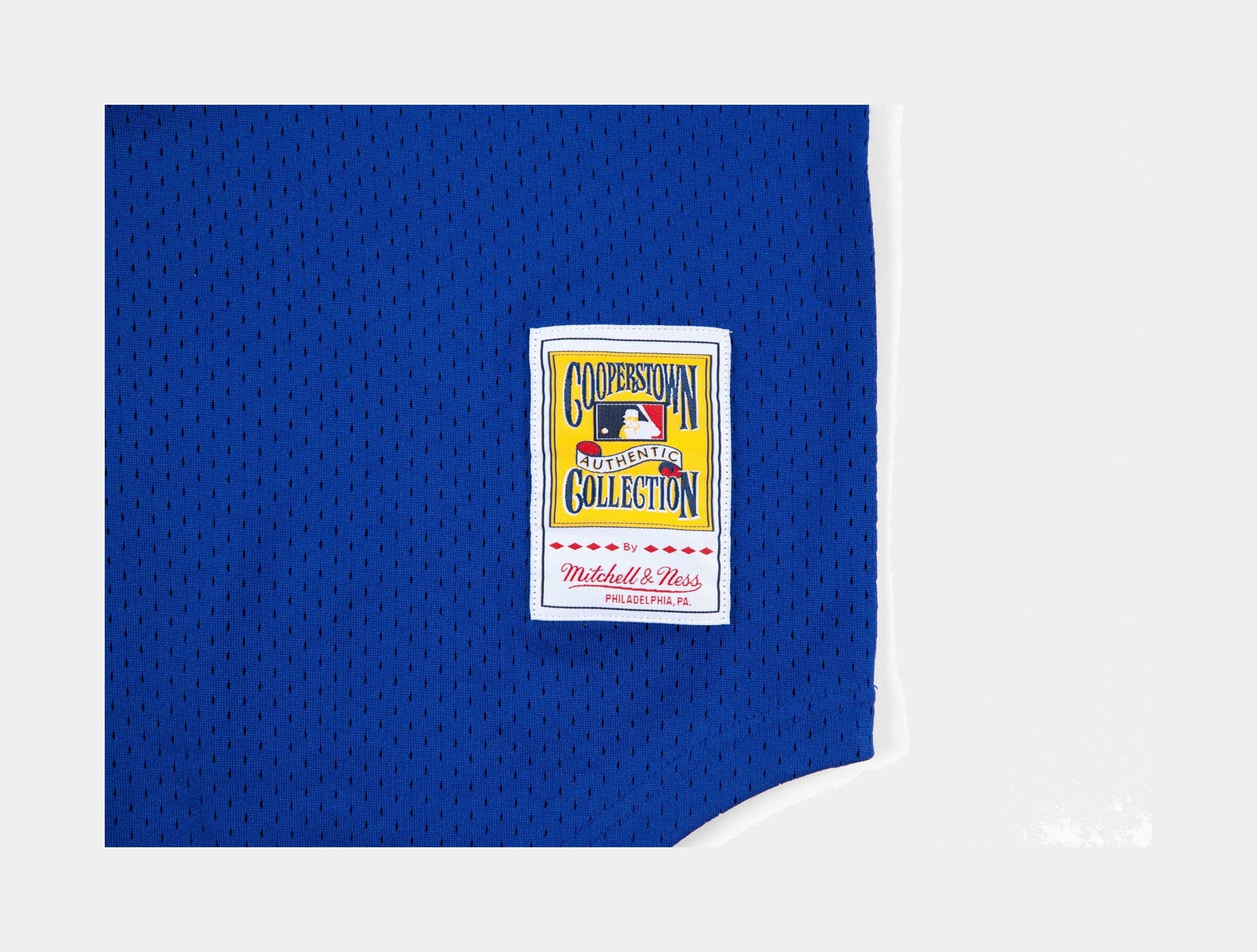 Mitchell & Ness Chicago Cubs Swingman Mens Shorts Blue 5621 404 RSAND84 –  Shoe Palace