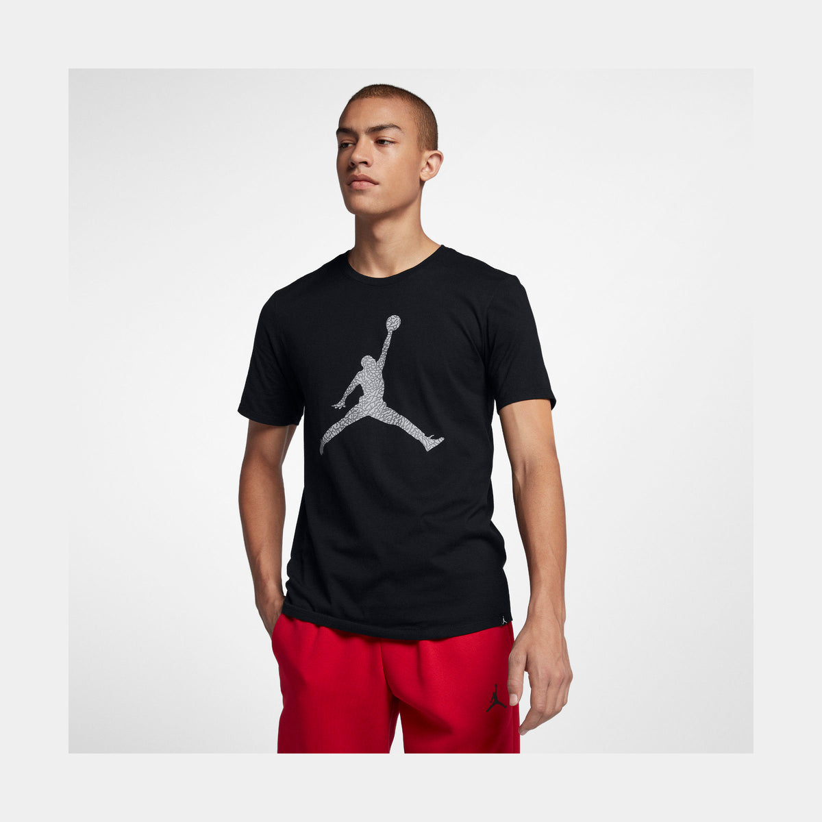 Jordan Air Jordan Jumpman Elephant Print Fill Mens T-Shirt Black Grey ...