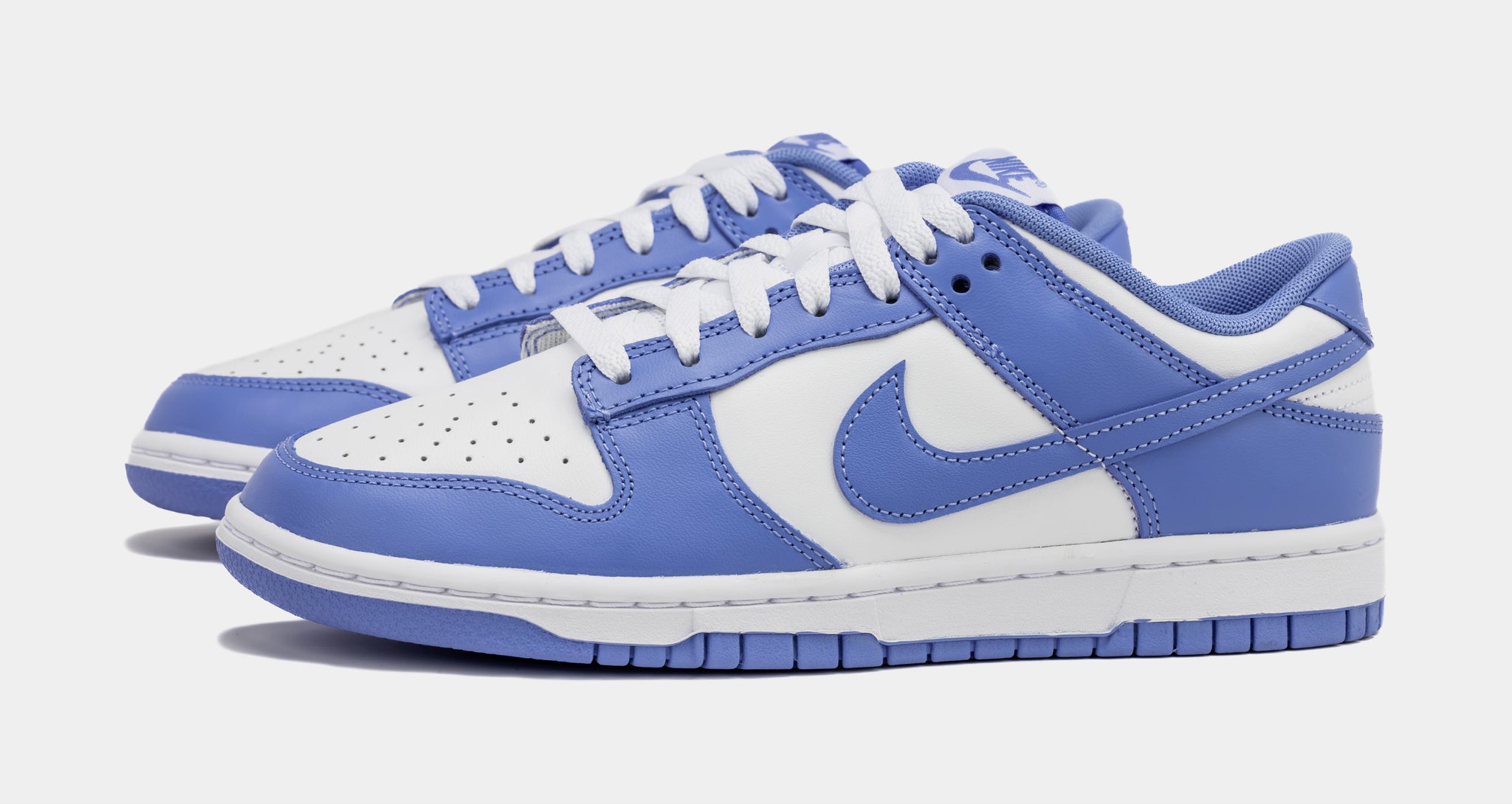 Nike Dunk Low Polar Blue Mens Lifestyle Shoes White Polar Blue